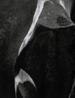 Bat Light, The Grottos, Independence Pass, Colorado 2001