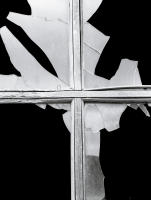 Broken WIndow #1, Parker, Colorado 2012
