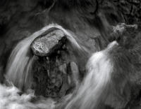 Balance, Cherry Creek, Colorado 2007