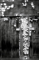 Cracked Paint, Miners Cabin, Silver Plume, Colorado 2015