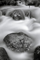 Along Chicago Creek, Colorado, 2013
