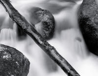 Chicago Creek Study XXVII, 2012