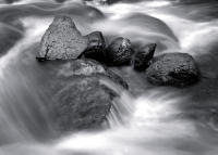 Chicago Creek Study #VIII, 2013