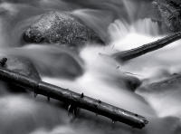 Rock and Logs, Chicago Creek, Colorado 2011