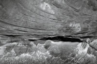 Dune Study I