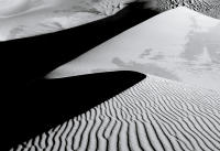 Dune Study IV