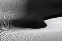 Dune Study V