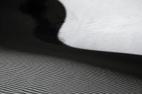 Dune Study VI
