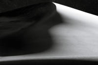 Dune Study VII