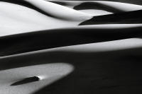 Dune Study IX