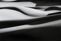 Dune Study X