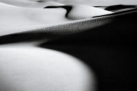 Dune Study XI