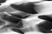 Dune Study XII