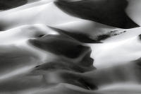 Dune Study XIII