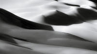 Dune Study XIV