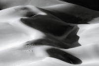 Dune Study XV