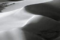 Dune Study XVI