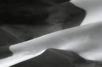 Dune Study XVII