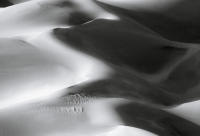 Dune Study XVIII