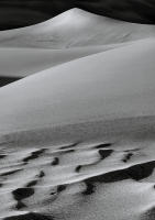 Dune Study XXI