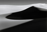 Dune Study XXII