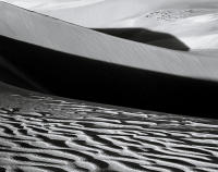 Dune Study XXIII