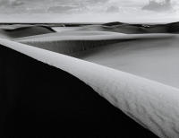 Dune Study XXVI