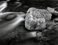 Maroon Creek Detail, Aspen, Colorado 2003