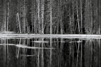 Dusk, Siesta Lake, Yosemite, California 2004