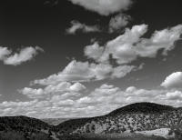 Afternoon, Northern New  Mexico 2013