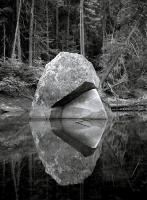 Reflection, Merced River, California 2008