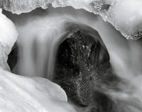 Detail, Boulder Creek, Colorado 2005