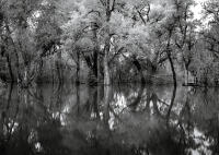 Flood, Chatfield, Colorado 2014