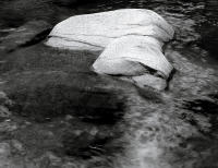 Light Play, The Grottos, Aspen, Colorado 2003