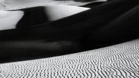 Dune Study XXVII