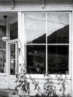 Sunflowers, Silver Plume, Colorado 2015