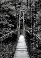 Footbridge, Showtee, Kentucky 1996