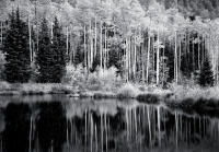 Reflections, Kenosha Pass, Colorado 2008