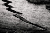 Broken Log, Sequoia National Park, California, 2019