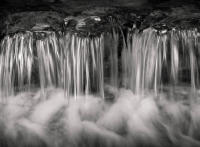 Fern Spring, Yosemite Valley, CA 2019