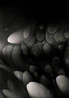 Form #6