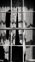 Lace Curtains, Bodie State Park, California, 2019