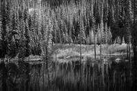 First Frost, Wolf Creek Pass, CO 2024