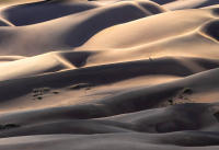 A Helping Hand, Great Sand Dunes, Colorado 2025