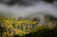 Spring Storm, Frying Pan River, Colorado 2025