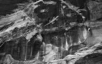 Lizard Petroglyphs, Dinosaur National Monument, Utah, 2026